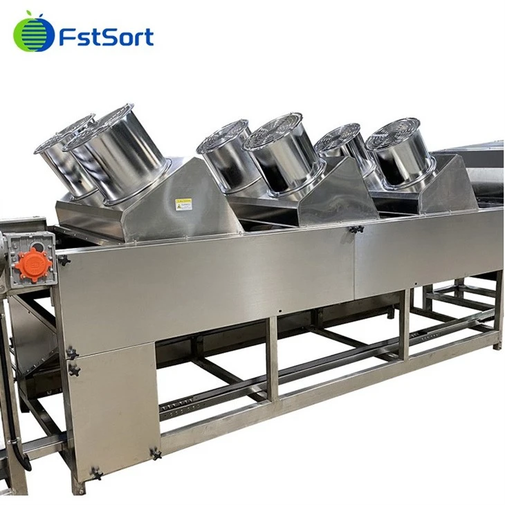 sweetpotato cleaning sorting machine1